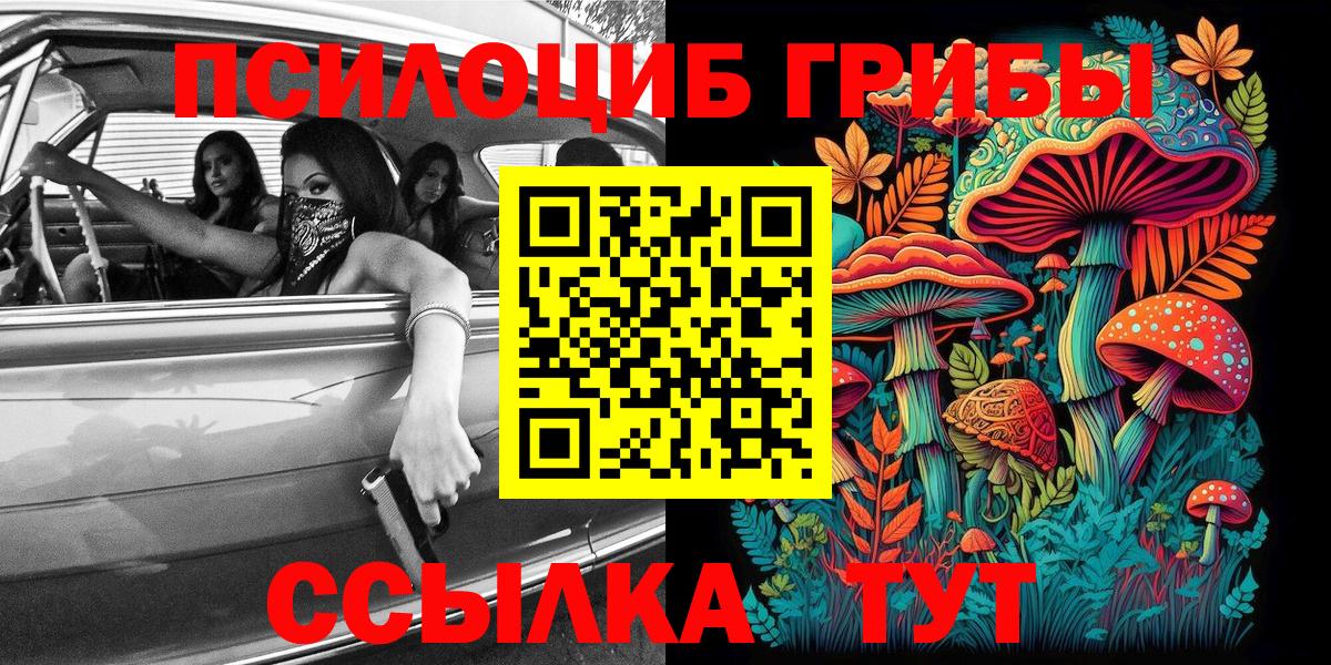 цены   Вход с VPN  Изобильный  Галлюциногенные грибы Psilocybine cubensis 
