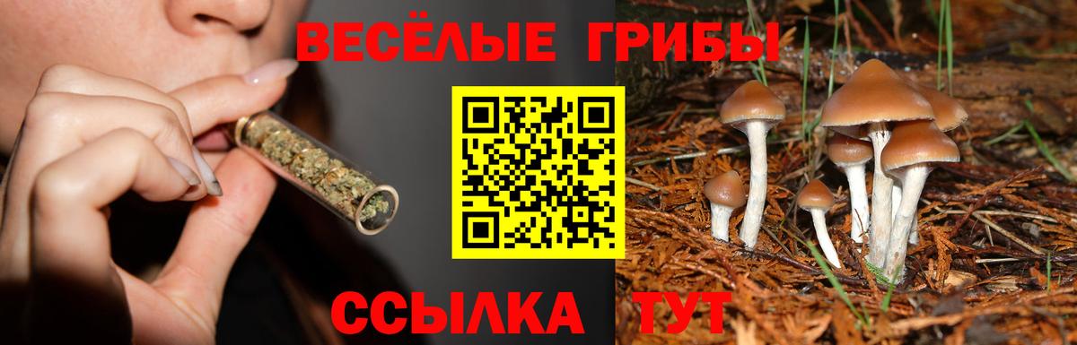 Галлюциногенные грибы ЛСД Изобильный